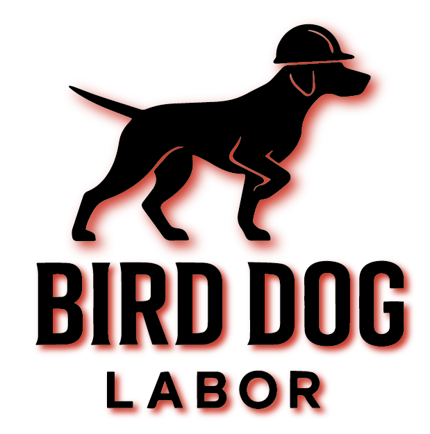 Bird Dog Labor